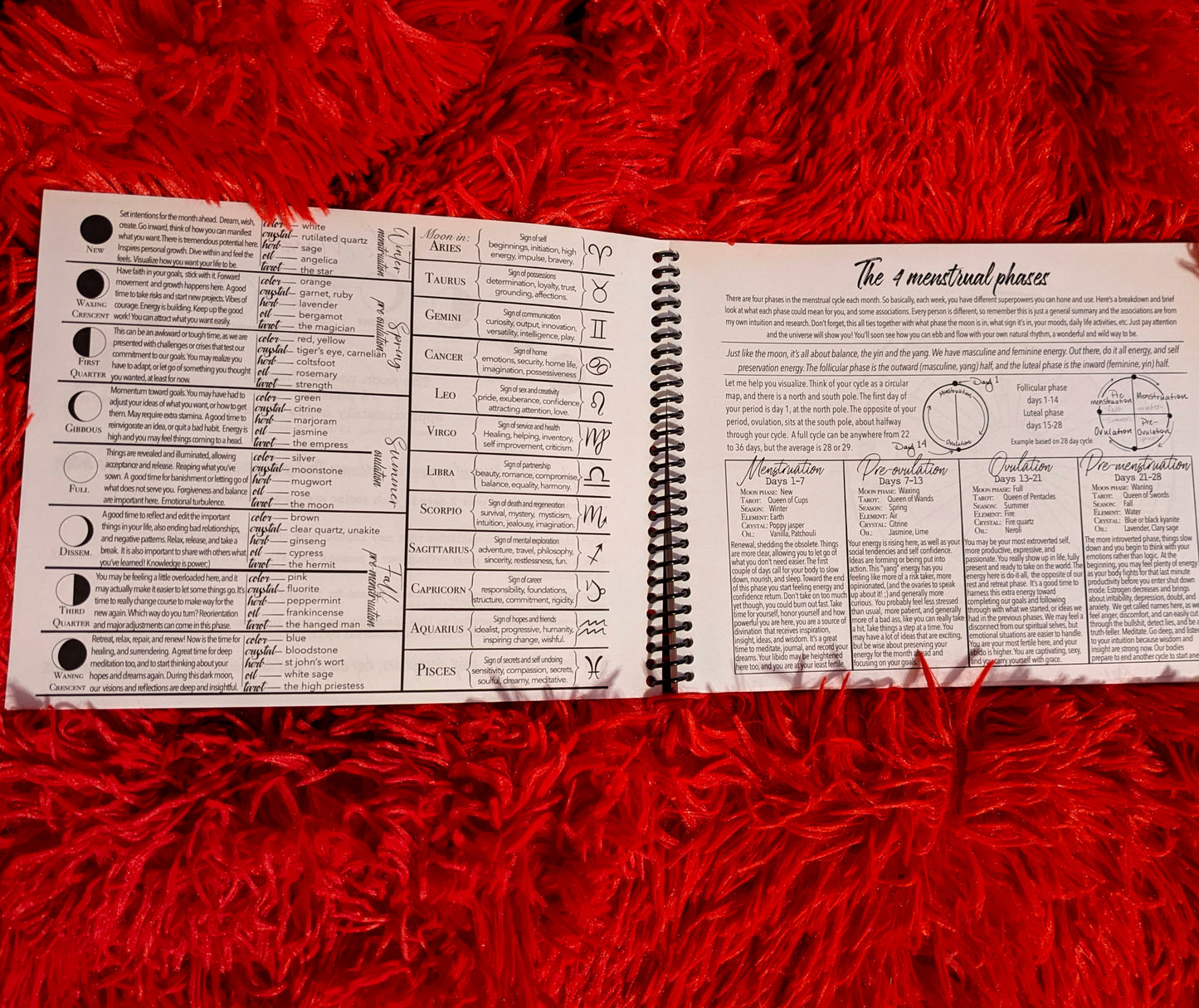 Intro to cycle charting book “The Cycle: A Map of You”