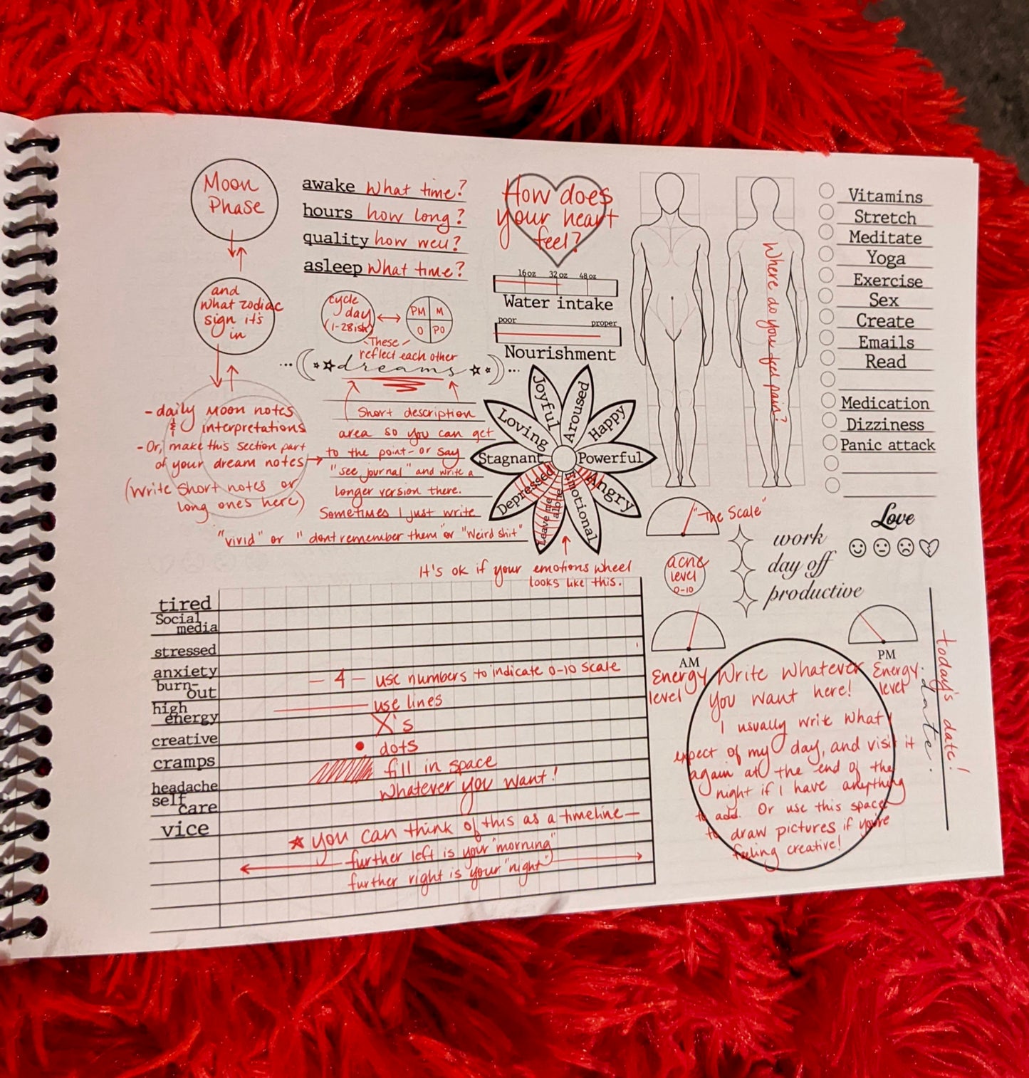 Intro to cycle charting book “The Cycle: A Map of You”