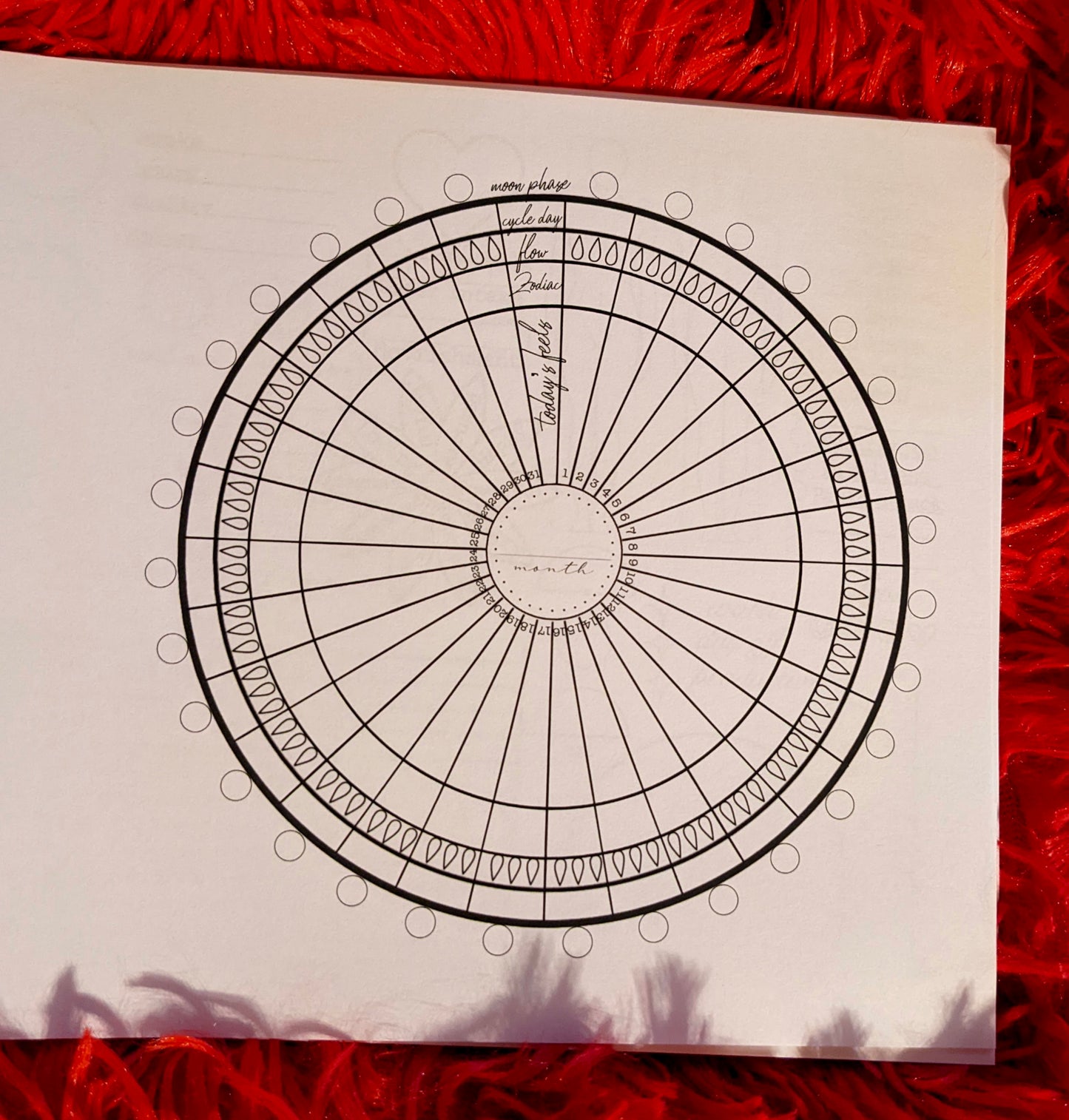 Cycle charting double book set