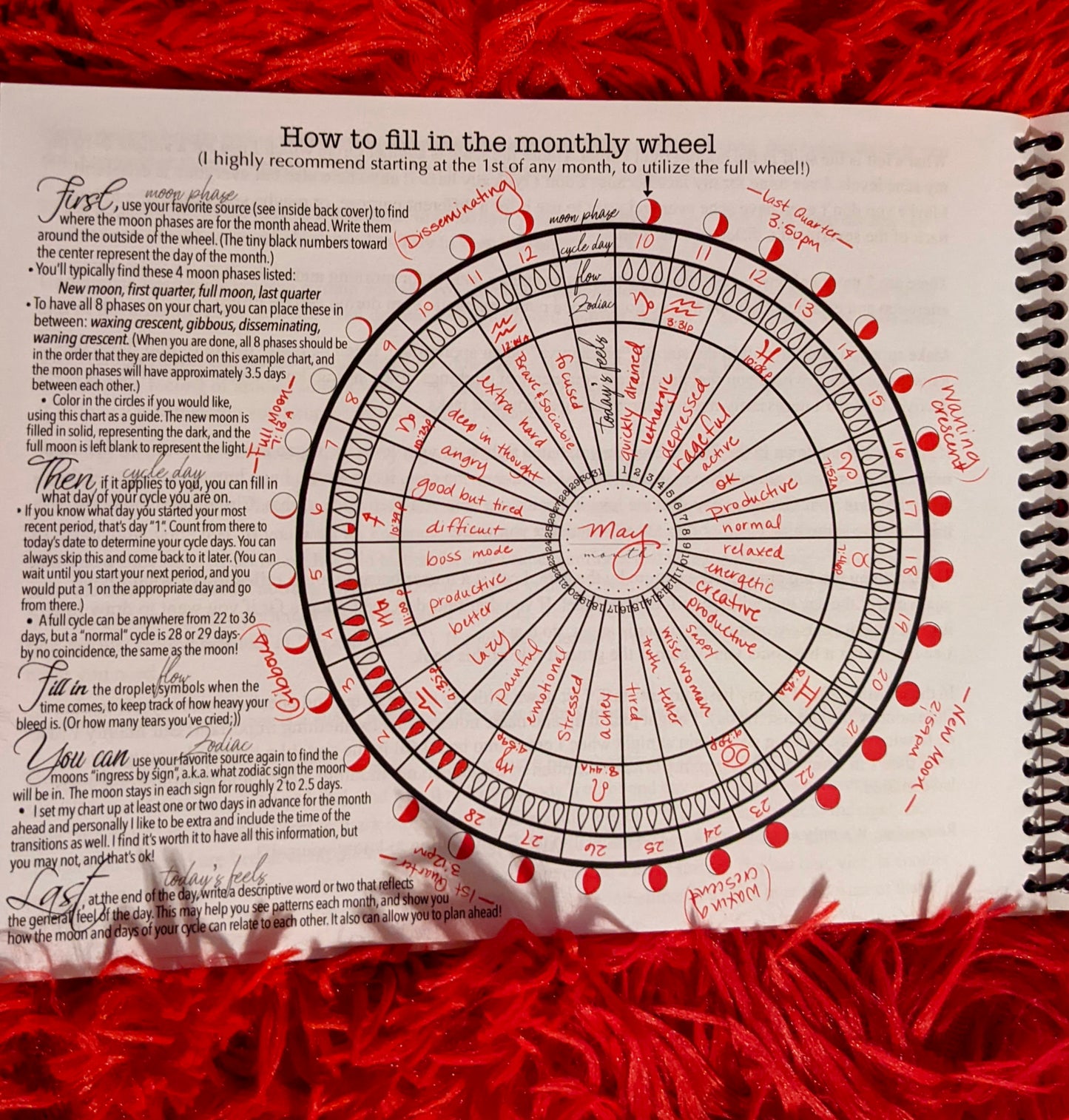 Intro to cycle charting book “The Cycle: A Map of You”