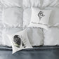 Camille’s Raven Canvas Pillow