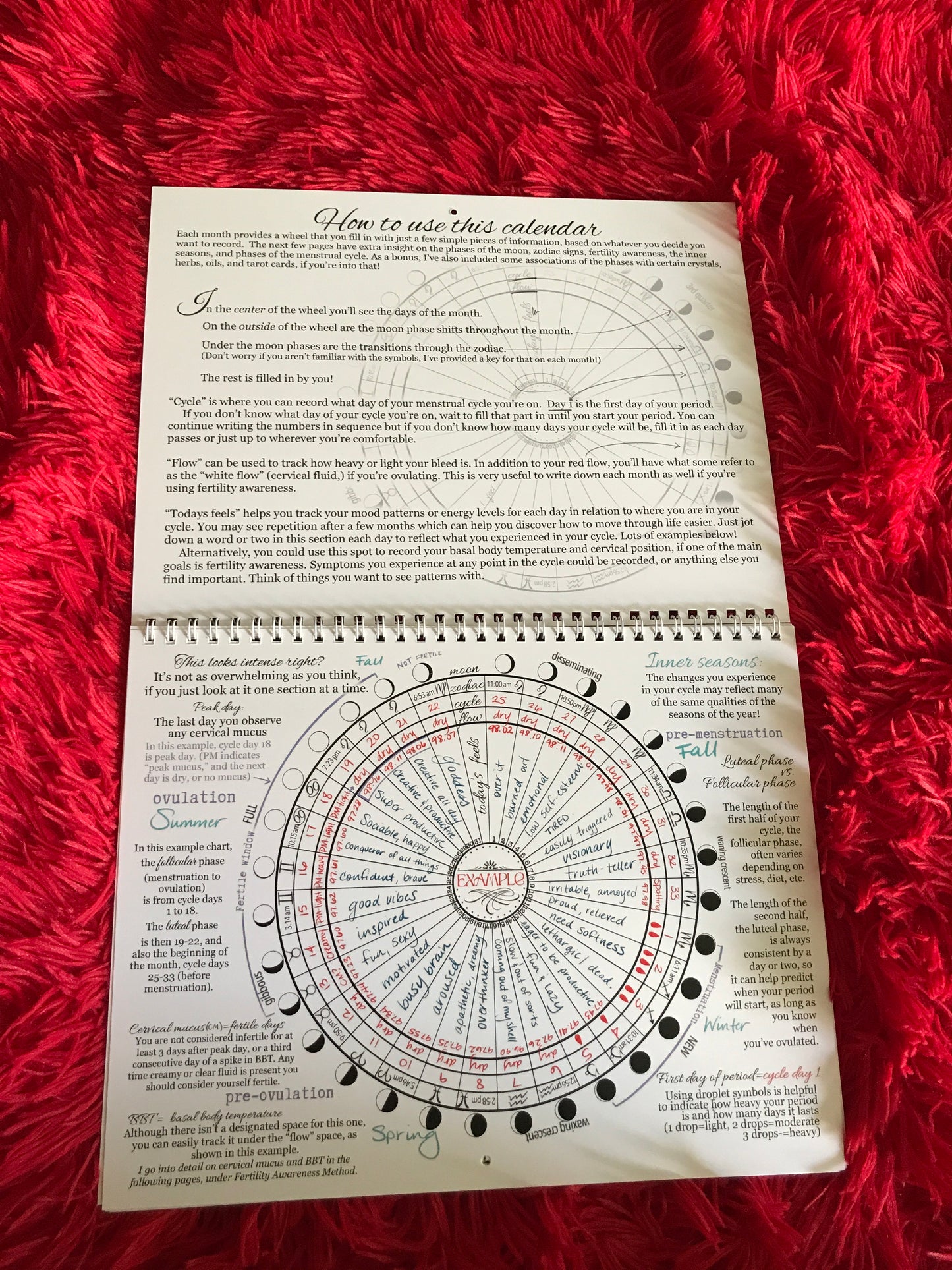 The Cyclical Womb 2025 Calendar