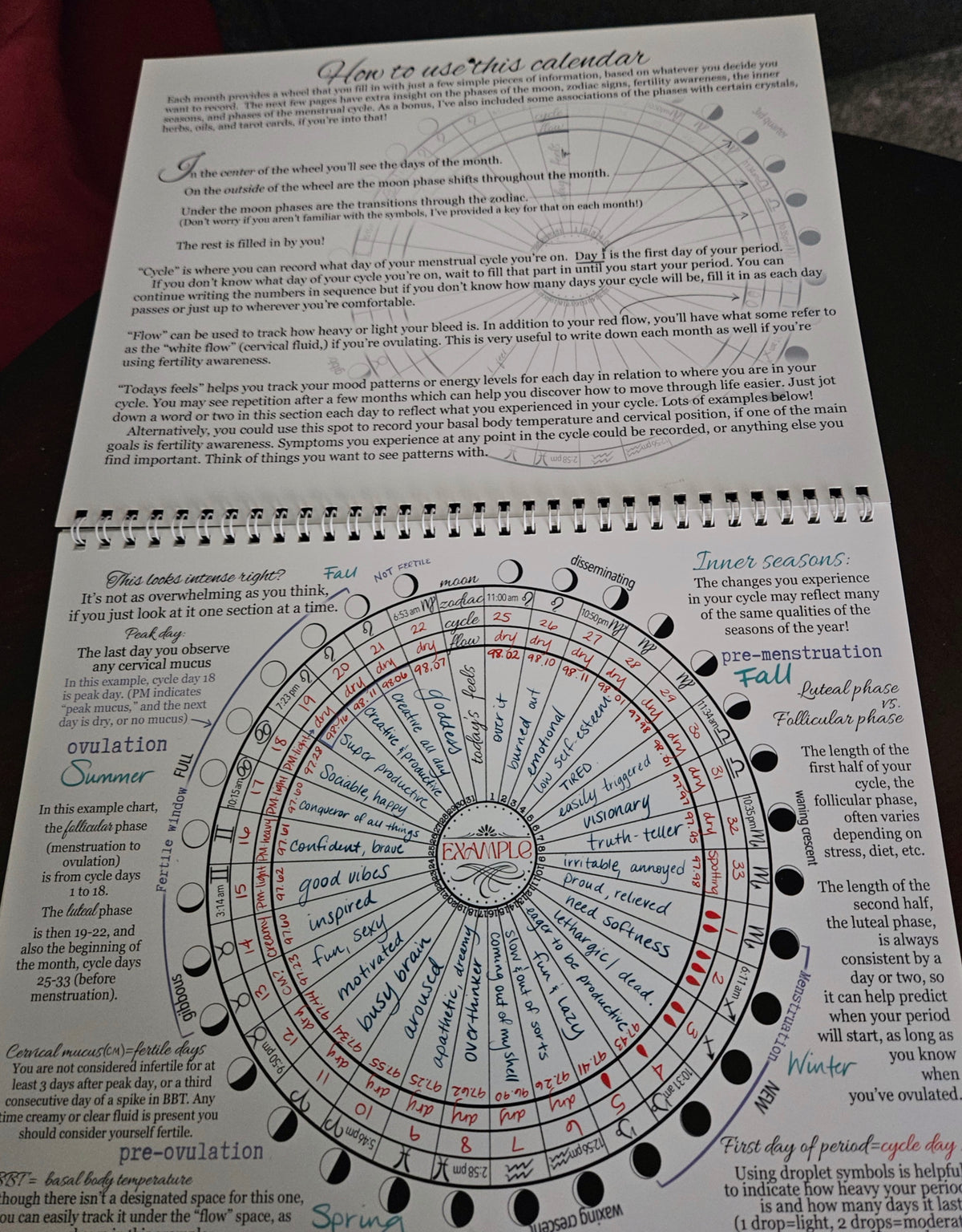 The Cyclical Womb 2026 Cycle Tracking Calendar